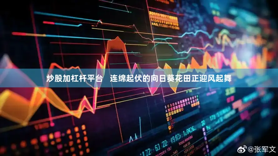 炒股加杠杆平台   连绵起伏的向日葵花田正迎风起舞