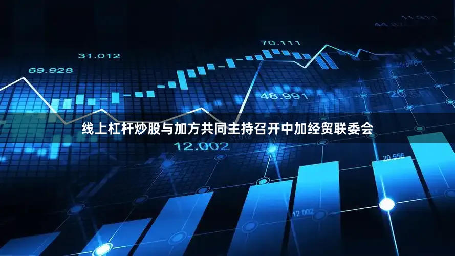 线上杠杆炒股与加方共同主持召开中加经贸联委会