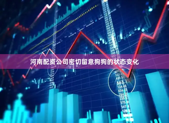 河南配资公司密切留意狗狗的状态变化